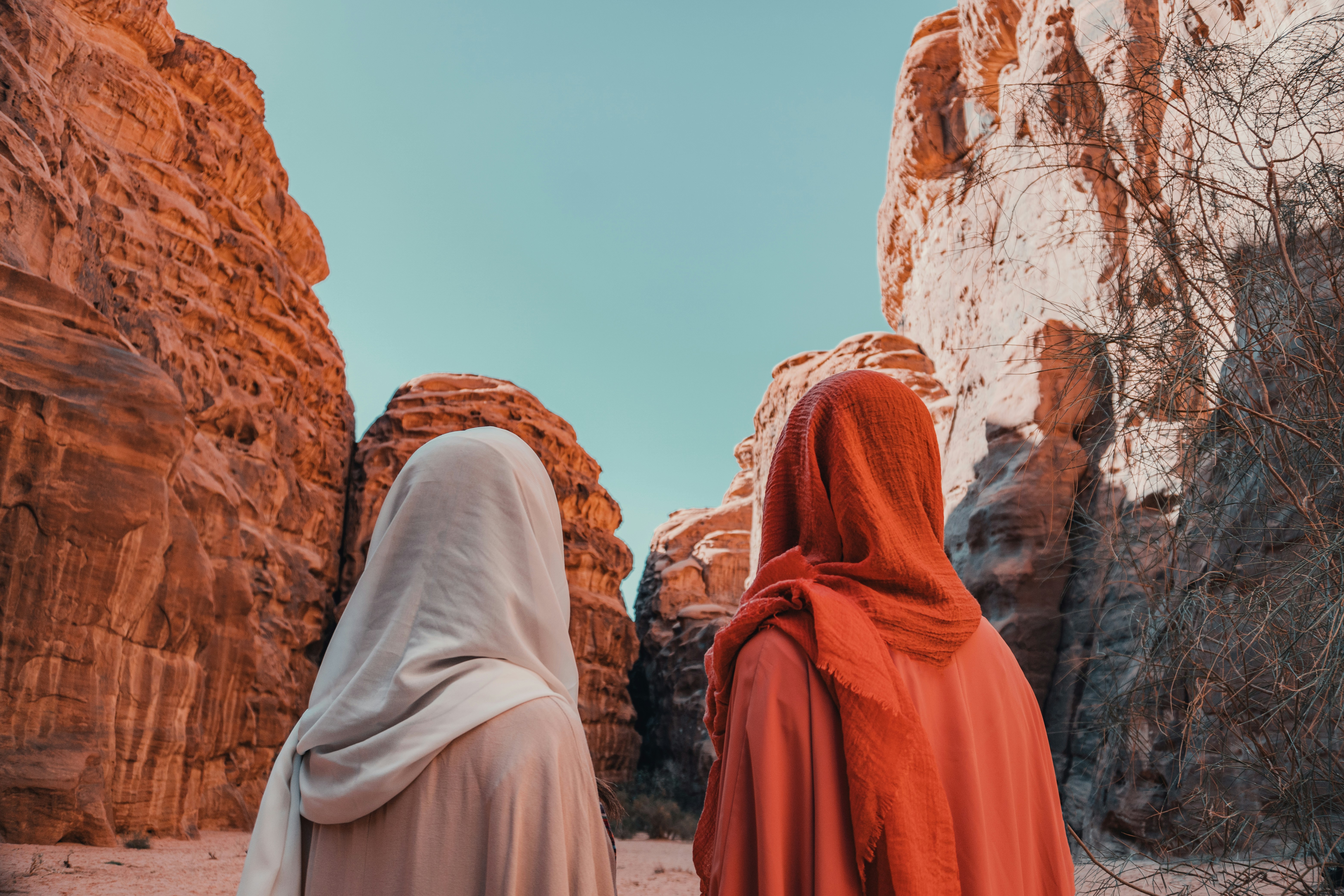 Amongst expansive red sands and spectacular sandstone rock formations, Hisma Desert – NEOM, Saudi Arabia | The NEOM Nature Reserve region is being designed to deliver protection and restoration of biodiversity across 95% of NEOM.